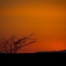 Desert Sunset