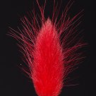 Colored grass