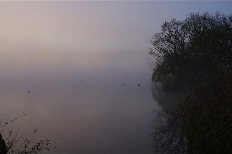 Misty morning of Lake Hakanoa