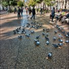 Paseo del Raval