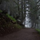 Atmosphere