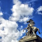 soldier & horse 