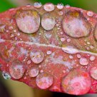 Raindrops power
