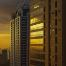 Golden Reflection