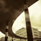 the ring