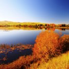 Fall in Tasmania