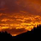Cast of sunset