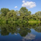 Reflections