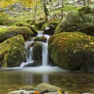 Rio Oja (Rioja)