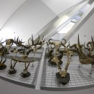 Horn Section