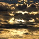 Shy Sun