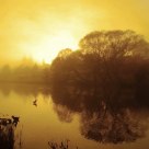 Morning in Deloraine