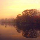 Morning in Deloraine 2