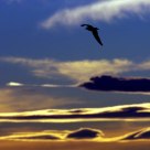 Bird's eye view of sunset