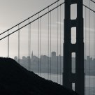 Bridge & City