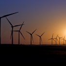 Windfarm