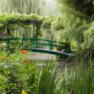 Mysterious garden