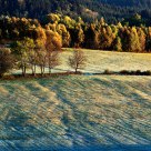 Cold morning