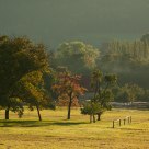 Under the hill