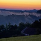 Mist over the trees