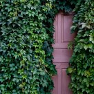 The magic door
