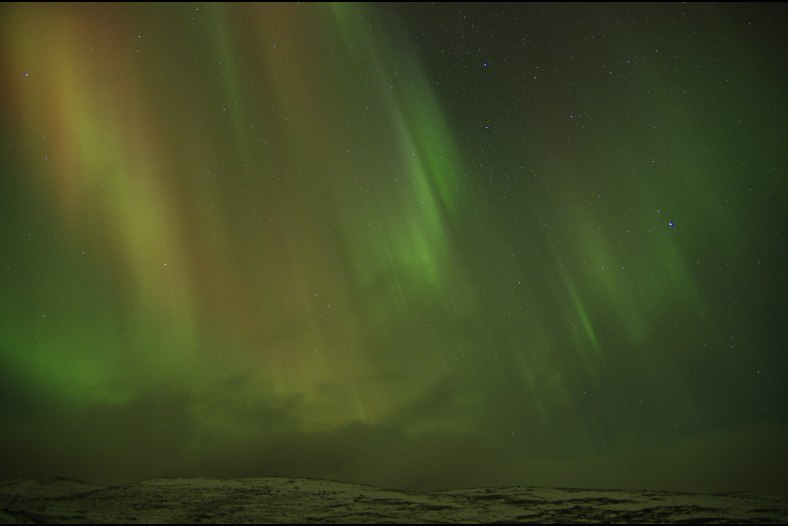 Aurora