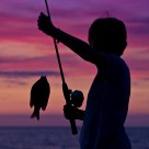 Successful Fishing