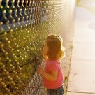 Fence