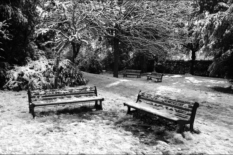 Snowfall