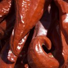 Red New Mexico chilis drying in the sun