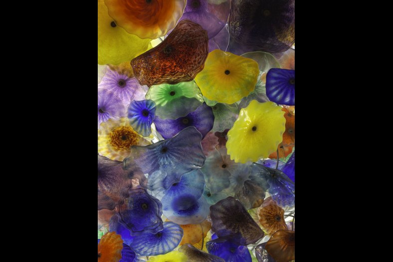 Dale Chihuly's glass flowers at the Bellagio