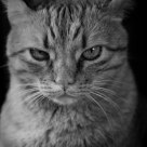What? You're not happy?