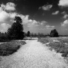 Pathway
