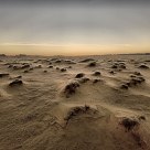 Desolate landscape