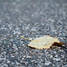 Principio de otoño