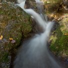 Water, moss and rock