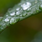 After rain