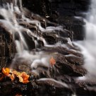 Autumn on the Potato River