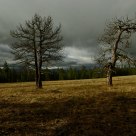 Storm Coming