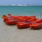 Amarrados