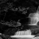 Stream