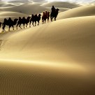 Caravan