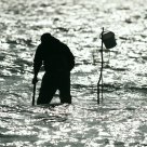 Fisherman in the Baltic Sea