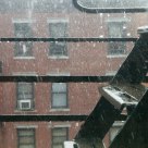 Summer shower in the city