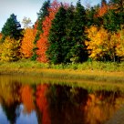 The Glory Of Autumn