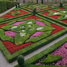 Rainbow Garden