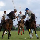 Polo at the Clifton Polo Ground: Kenya vs. Barbados 