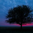 Alone on the Great Hungarian Puszta 