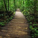 Path to Nowhere