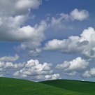 Palouse Day